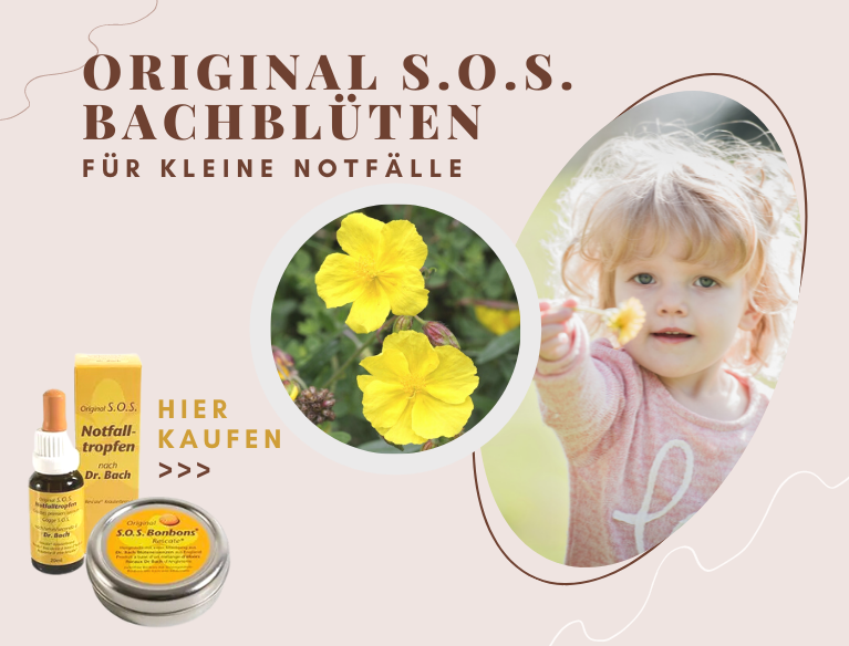 Bachblüten Banner